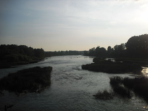 Luga River